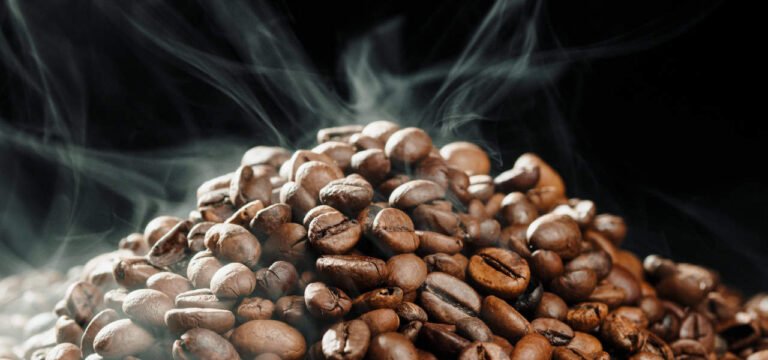 Grano de café de especialidad recién tostado