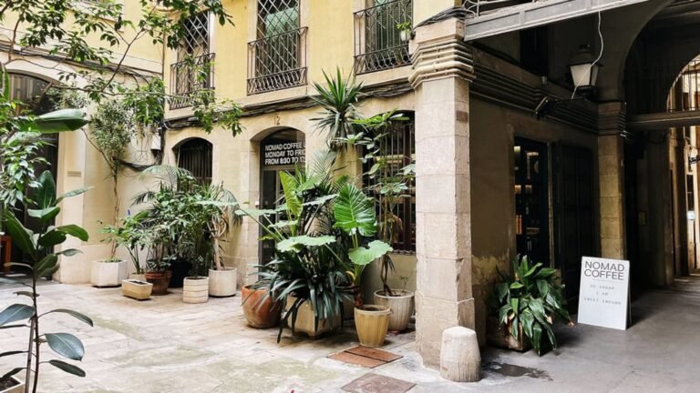 nomad coffe 3 768x432