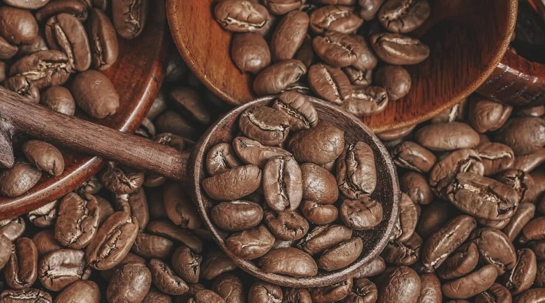 Café arábica: el rey del café con aroma y sabor únicos