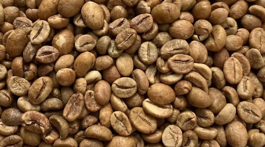 Robusta: Más que un simple café