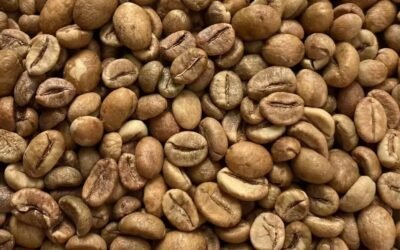 Robusta: Más que un simple café