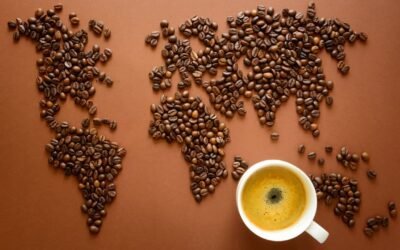 Regiones y sabores del café: Una guía esencial