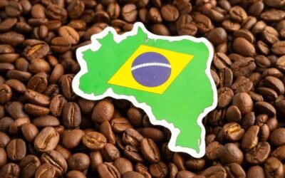 Café de Brasil: El gigante del grano