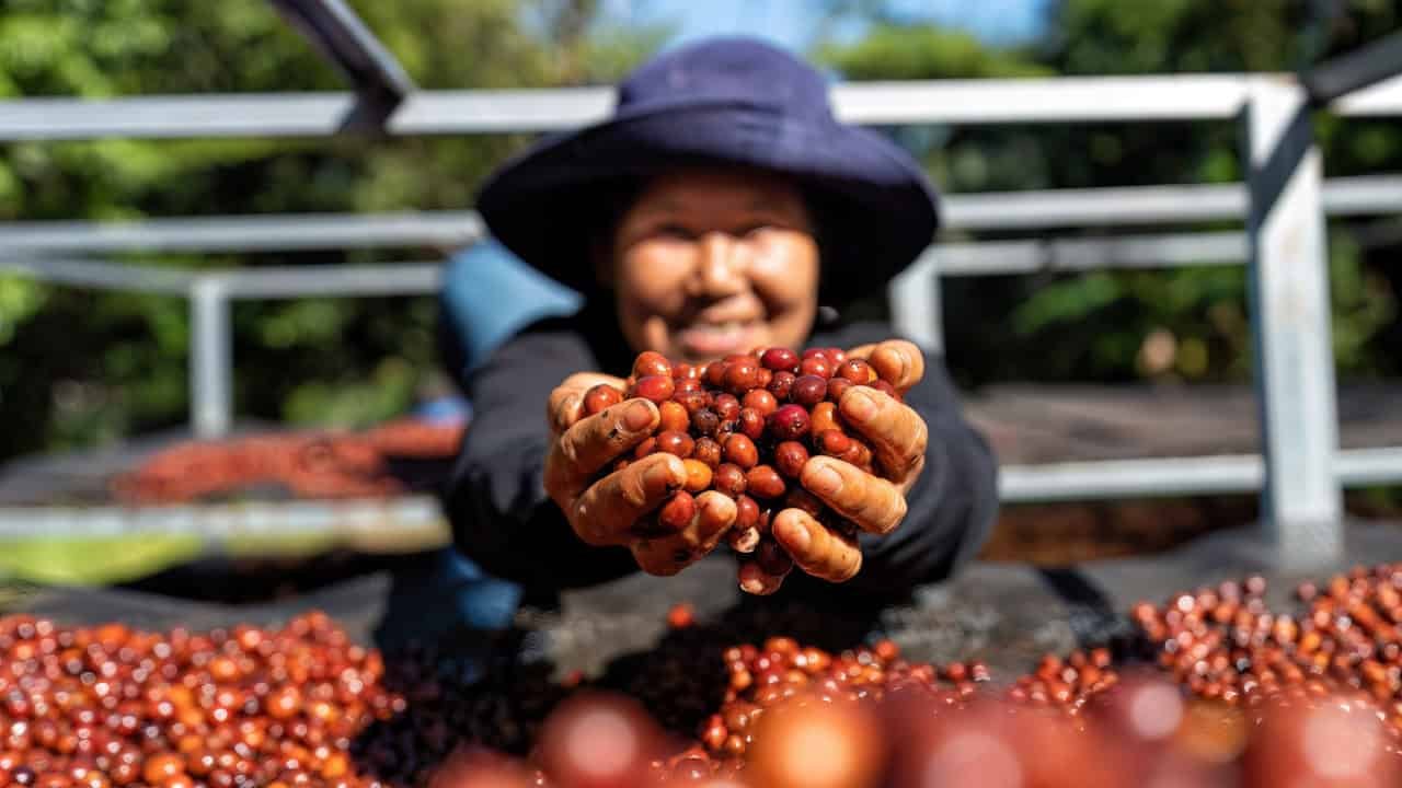 Café de Perú