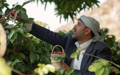 Café de Yemen: La Historia en Cada Grano