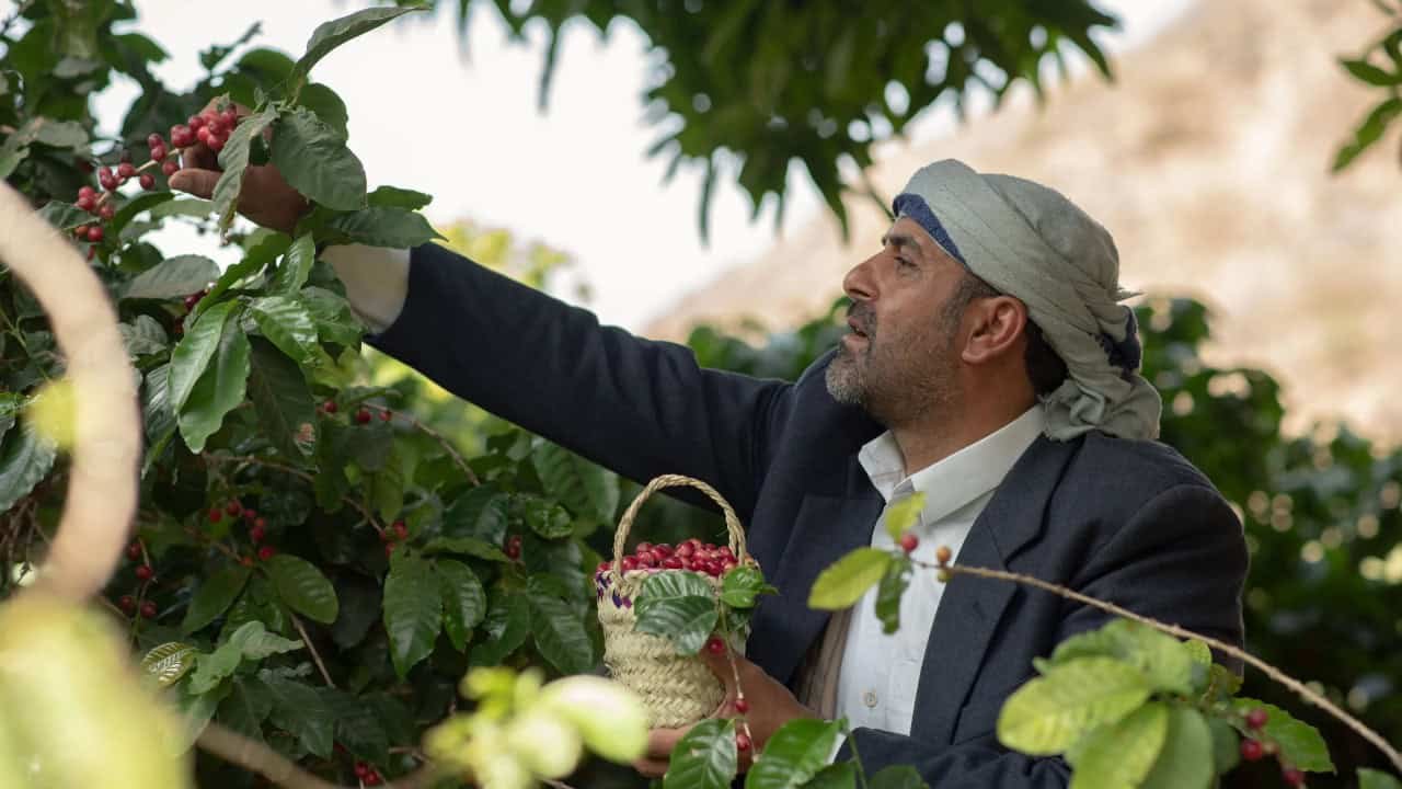 Café de Yemen