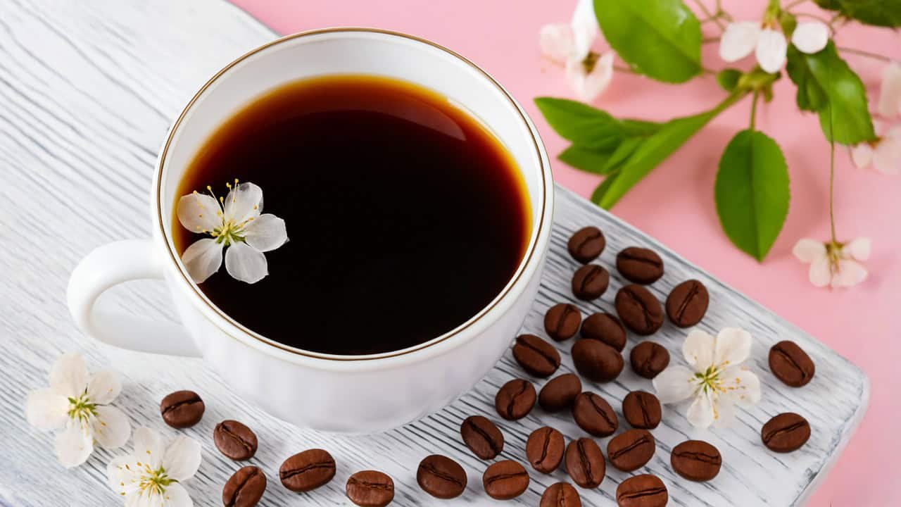 Cafe Geisha