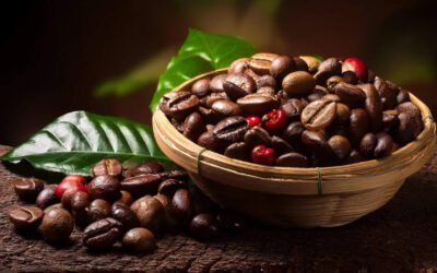 Café Typica: El origen de la elegancia en tu taza