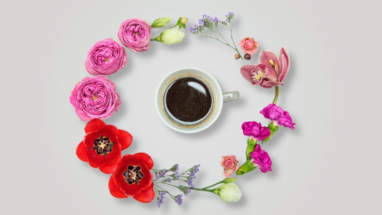 Notas florales del café