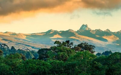 Café de Tanzania: El aroma del corazón de África